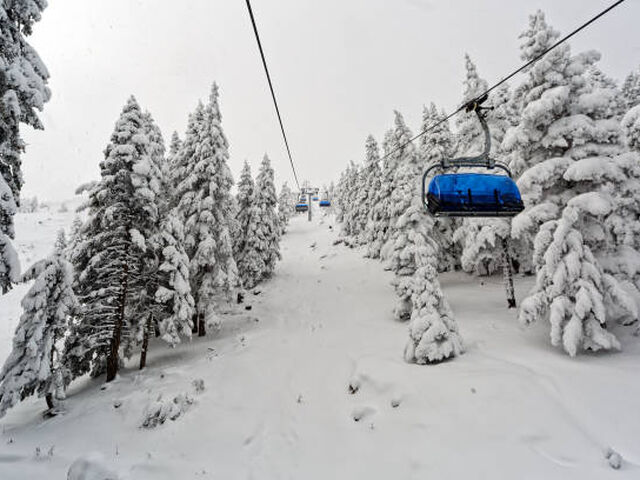 Günübirlik Kartalkaya Kayak Turu