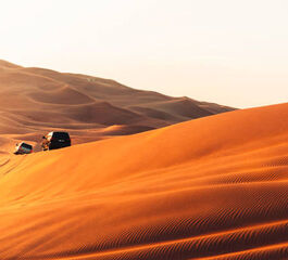 DUBAI & LEGOLAND KIS 2026 (SHJ-SHJ) 5 GECE 6 GÜN | DUBAİ (3) & LEGOLAND (2)