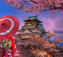 Comfort Japonya & Kore Turu Türk Hava Yolları ile 8 Gece Ekstra Turlar ve Çay Seremonisi Dahil ICN-KIX 2026