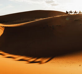 Ramazan Bayramı Dönemi Pegasus Havayolları İle Görkemli Dubai &Lüksün Başkenti 3 Gece 2026 19 MART AT1268
