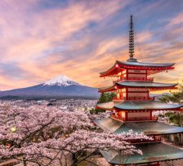 Uzak Doğu’nun Çiçeği ve Güneşi “Güney Kore ve Japonya” THY ile 9 gece (ICN-HND) Seul (3) – Osaka (3) – Nara – Kyoto – Tokyo (3) – Hakone | Tüm turlar ve giriş ücretleri dahil