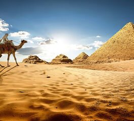 Sharm Kahire ve İskenderiye Masalı (6 Gece - 7 Gün) 18 Nisan