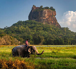 Sri Lanka Turu Türk Havayolları İle 8 Gün EJ001