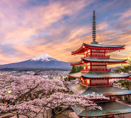 Japonya Kore Turu - Asiana Havayolları İle  10 Gece 12 Gün EJ001
