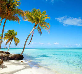 Büyük Küba Turu Superıor Türk Havayolları İle 12 Gün 13 Gece EJ001