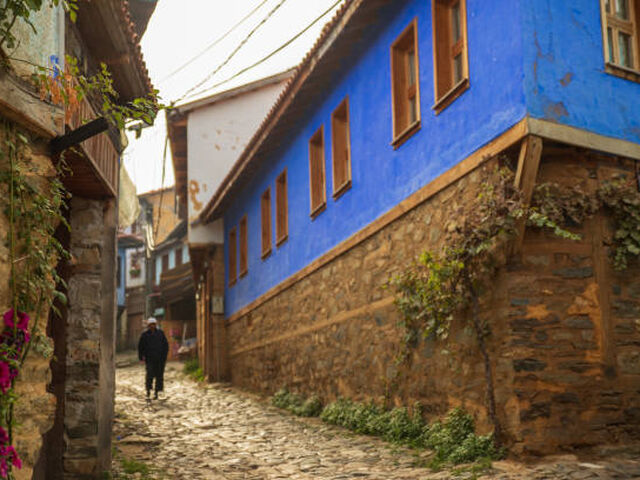 Günübirlik Cumalıkızık Gölyazı Mudanya Trilye Turu