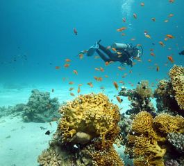 Sharm El Sheikh Turu Türk Havayolları ile 4 Gece 5 Gün (26-30 Nisan)