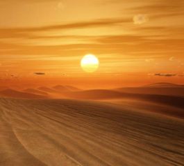 Tunus Turu Türk Havayolları İle Kurban Bayramı Özel