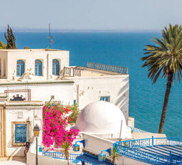 Elegant Sahra Çölü & Tunus Hazineleri Turu Türk Havayolları ile 5 Gece (TUN-TUN) FL001