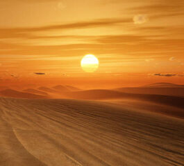 Elegant Tunus Turu Türk Havayolları ile 3 Gece (TUN-TUN) FL001