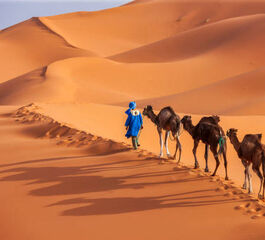 Büyük Sahra Çölü & Masallar Diyarı Fas Turu Türk Havayolları ile 7 Gece (CMN-RAK) FL001 